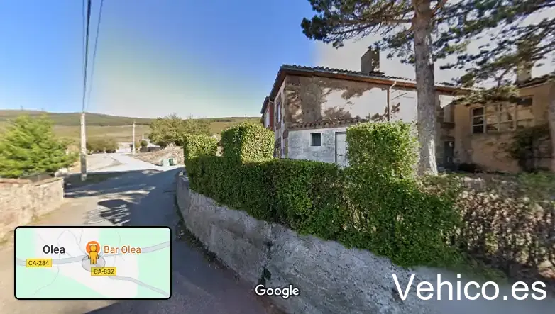 Bar Olea