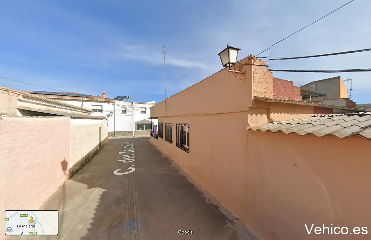 El loro verde