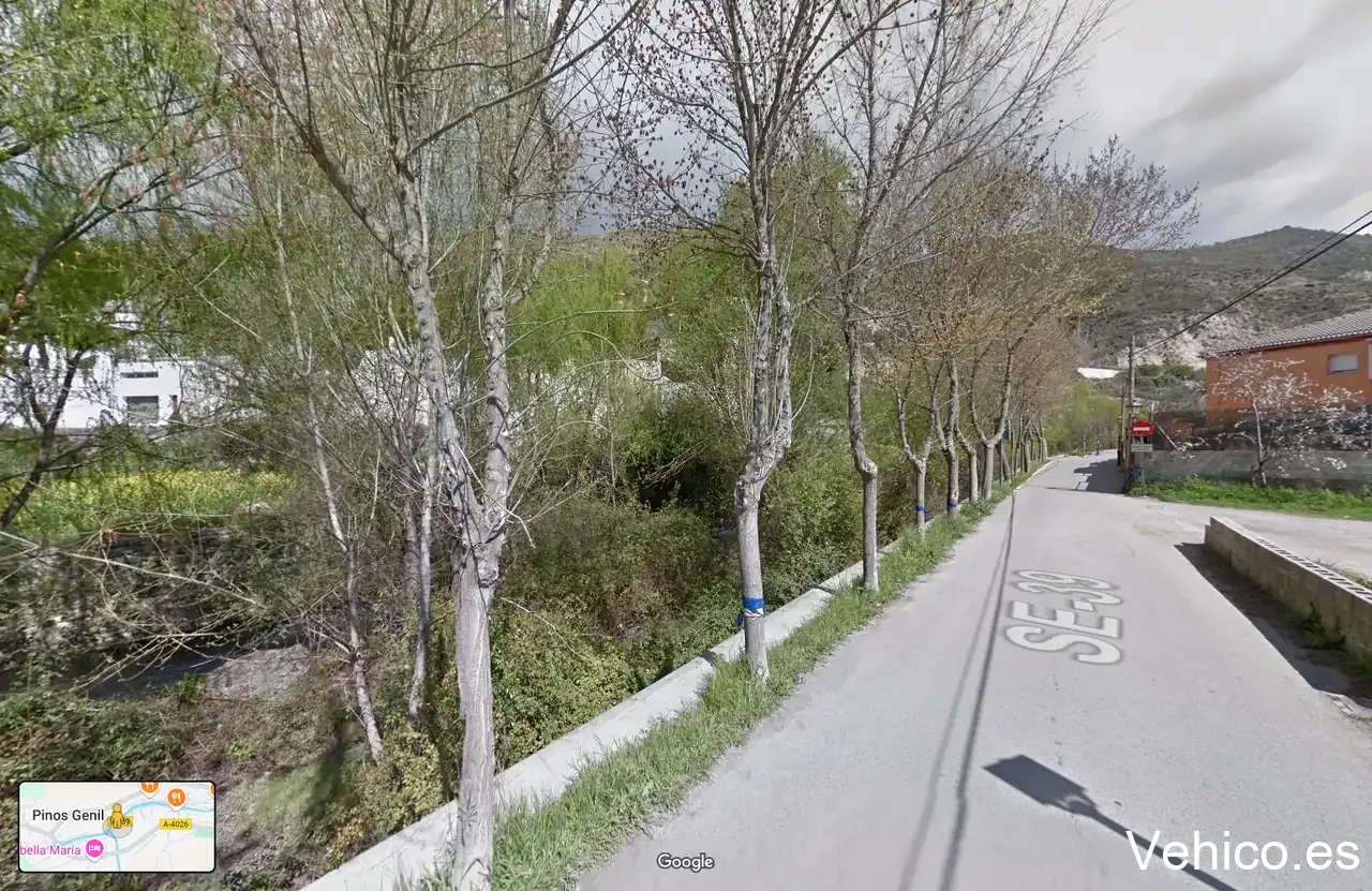 Pinos Genil Parking