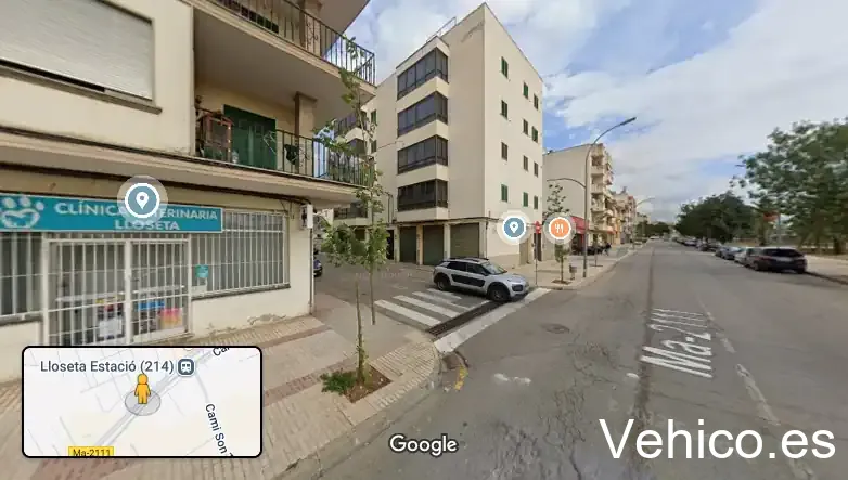 Clínica Veterinària Lloseta