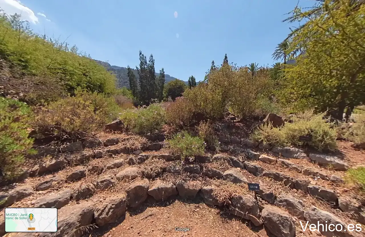 MUCBO | Jardí Botànic de Sóller