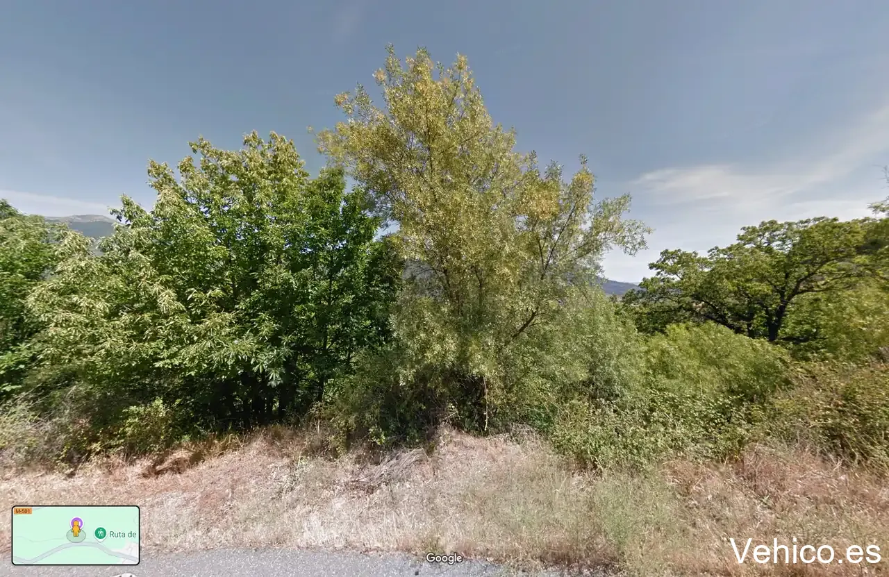Castañar de Rozas de Puerto Real