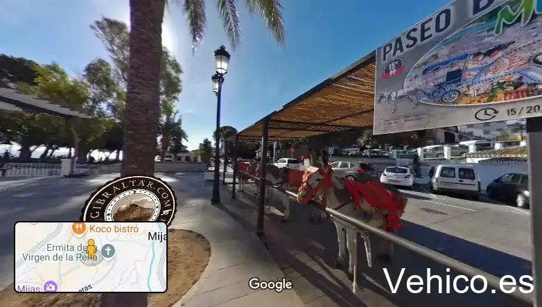 Parking de burros y caballos