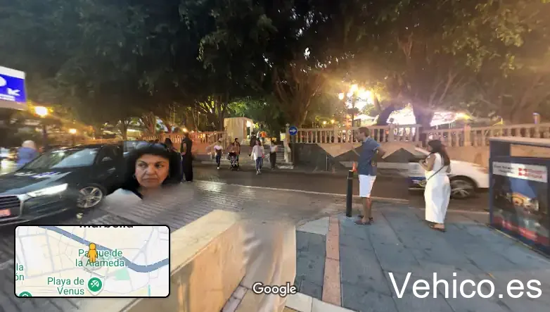 Puusto Vinci Park