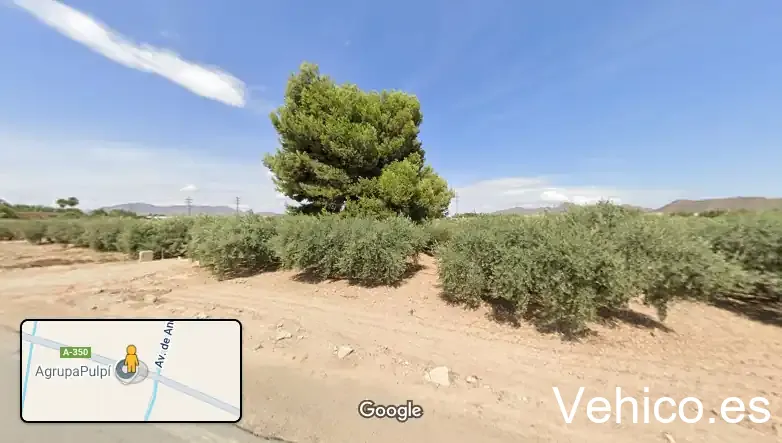 AgrupaPulpí
