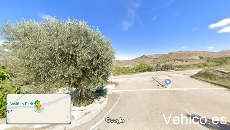 Camping Saviñan Park