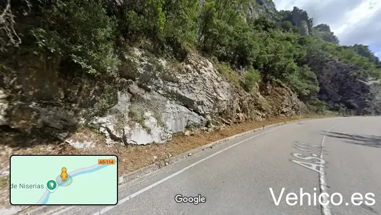 Pasarela de Niserias