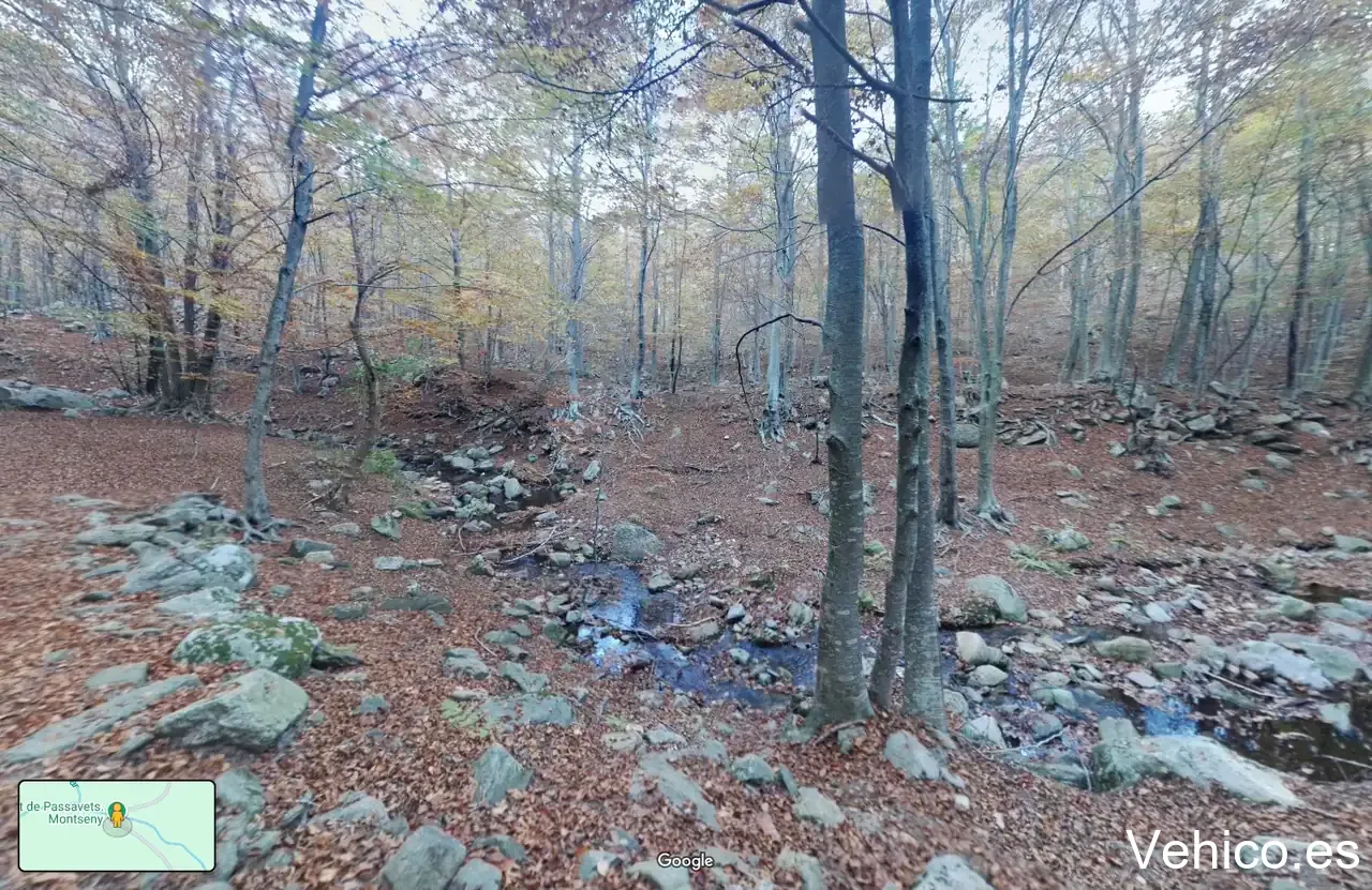 Font de Passavets. Montseny