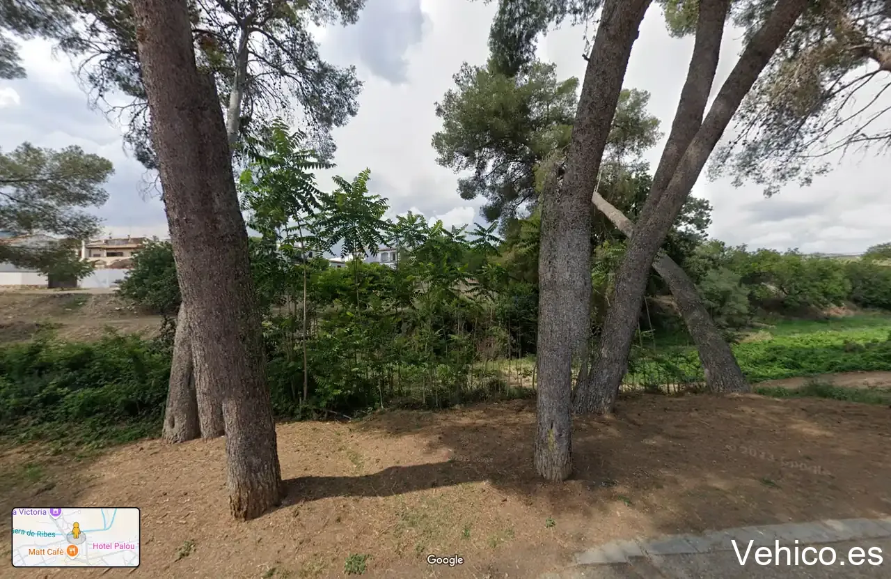 Parquing Ribes