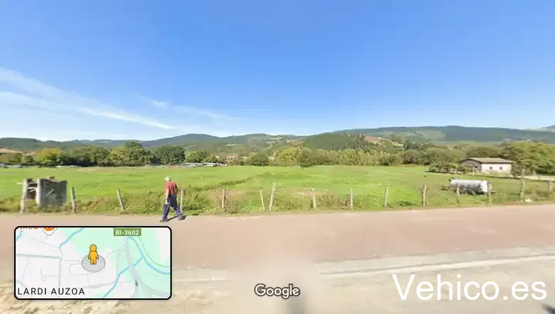 CEVA - Zalla