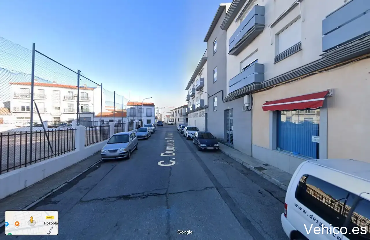 VP Servicios