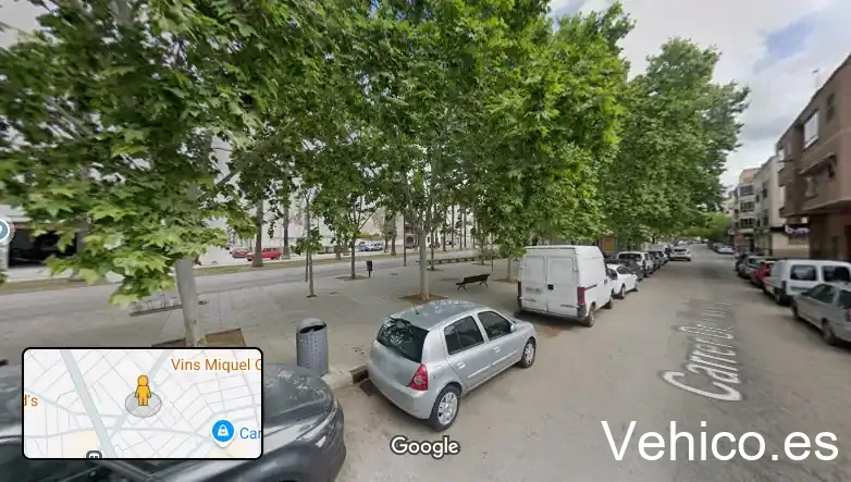Bosch & Lozano Manacor