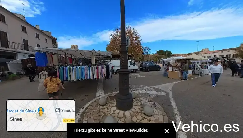 Sineu Market