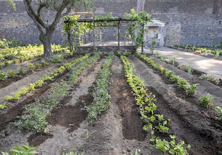 Descubren Fragancias Antiguas: La Casa del Perfumista Revive