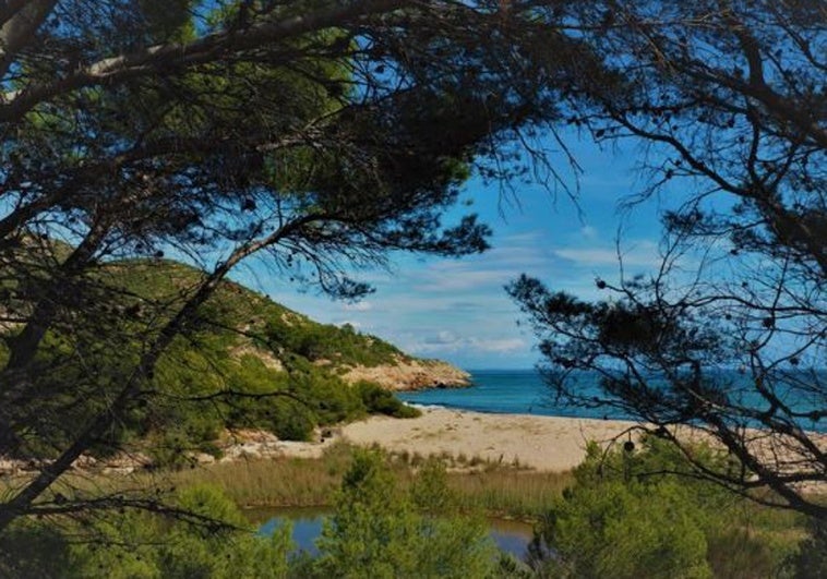 Descubre la Playa Oculta de Cataluña: Belleza y Misterio