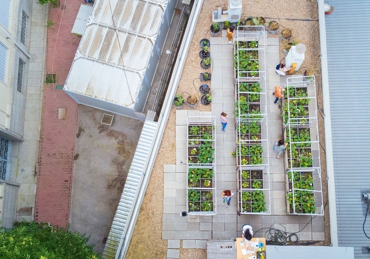Transforma tu ciudad: Biorresiduos en Agricultura Urbana