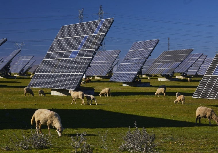 RDL 'Antiapagones': Clave del Liderazgo Energético de España