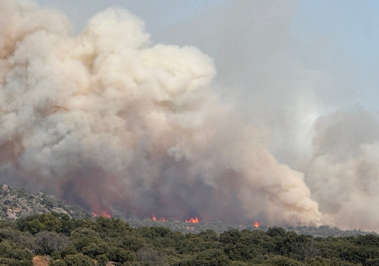 Desalojo Urgente: Incendio Arrasa Navaluenga y Cierra Vías