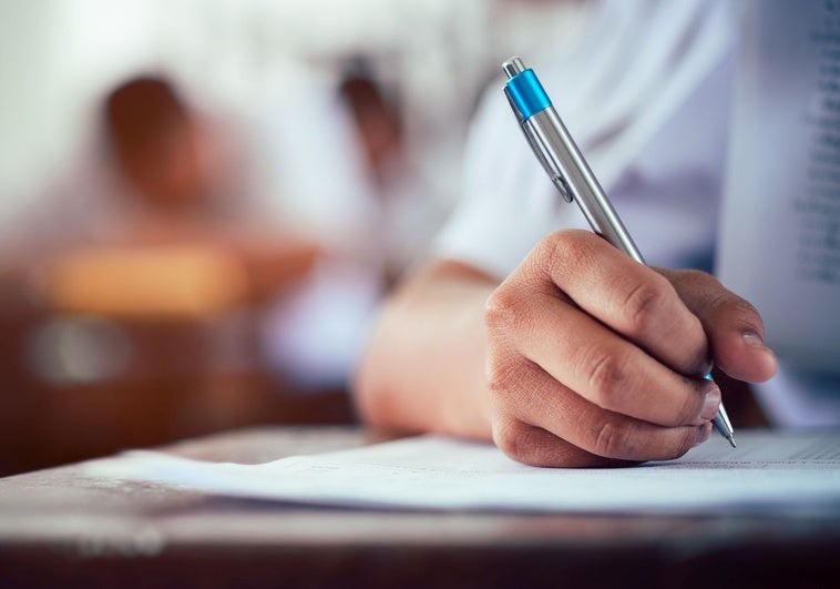 Cultivarse: Clave para el Crecimiento Personal y Profesional