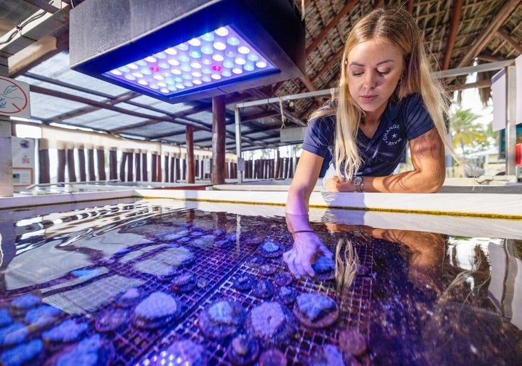 Transforma el mundo: Turismo positivo y sostenible
