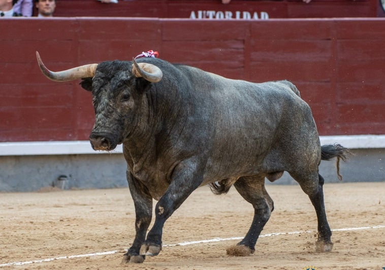 Descubre los carteles imperdibles de Las Ventas en septiembre